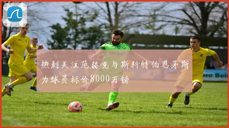 热刺关注范赫克与斯科特伯恩茅斯为球员标价8000万镑